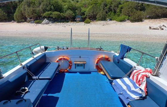 Motorboat Auto Marine Engineering Ltd. Nelson 34 300hp