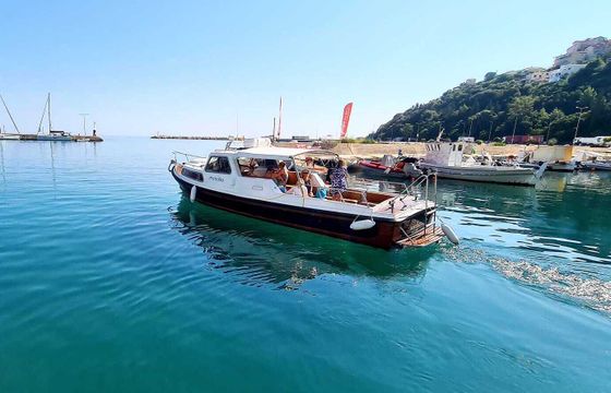 Motorboat Auto Marine Engineering Ltd. Nelson 34 300hp