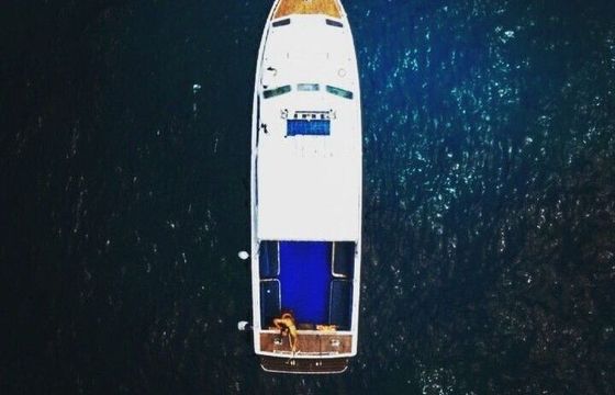 Motorboat Auto Marine Engineering Ltd. Nelson 34 300hp