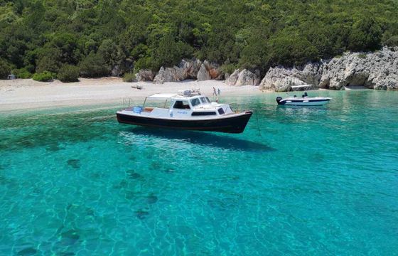 Motorboat Auto Marine Engineering Ltd. Nelson 34 300hp