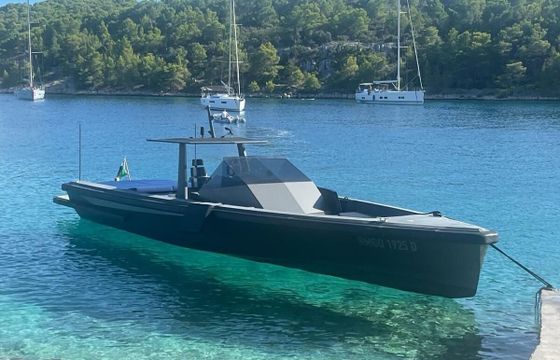 Motorboat Wally Tender 45 740hp