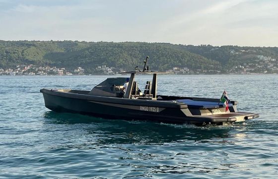 Motorboat Wally Tender 45 740hp