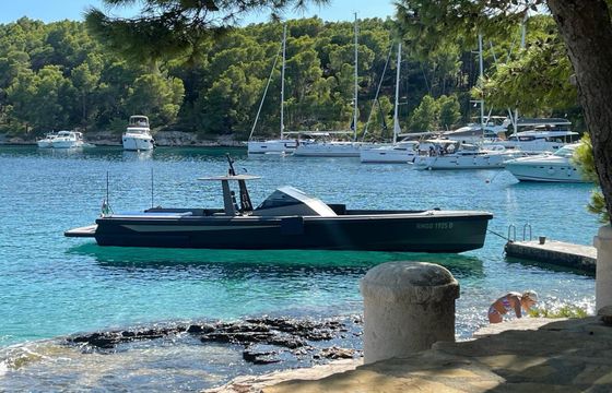 Motorboat Wally Tender 45 740hp