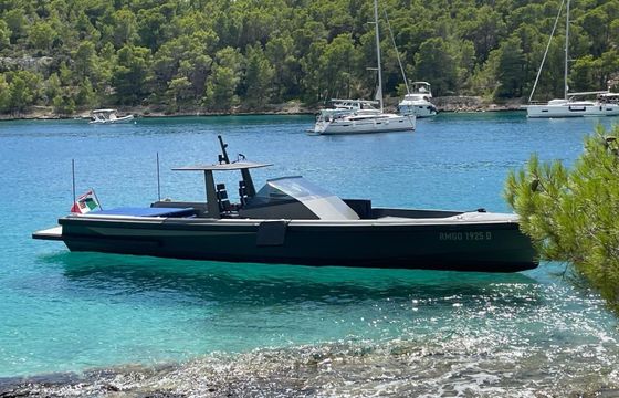 Motorboat Wally Tender 45 740hp
