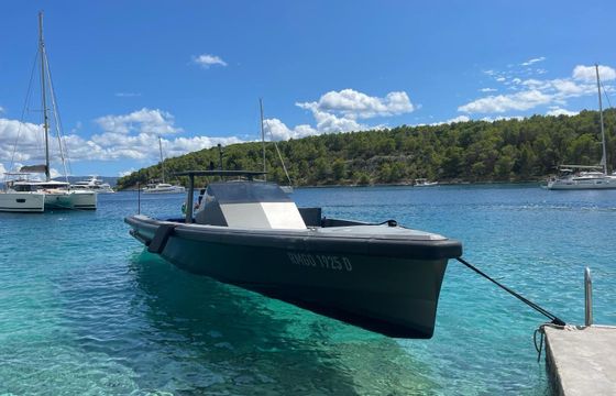 Motorboat Wally Tender 45 740hp