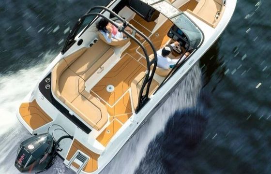 Motorboat Bayliner V20 V 20 150hp