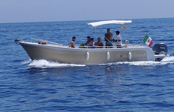 Motorboat Liver Open 860 150hp