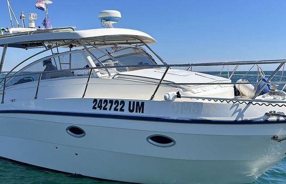 Motorboat Poly Form Triakis C30 660hp