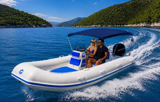 RIB Mercury 4.6 50hp
