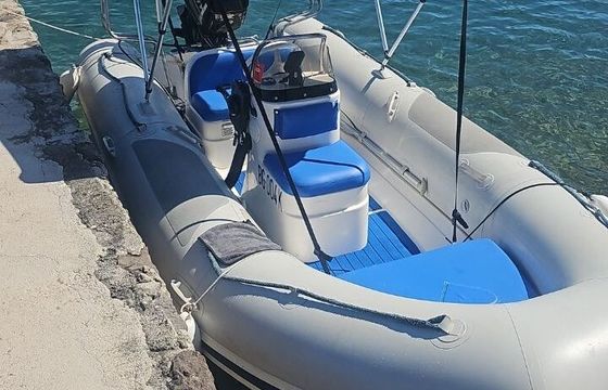 RIB Mercury 4.6 50hp