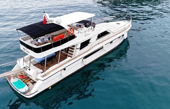 Motor yacht Fairline 2002 550hp