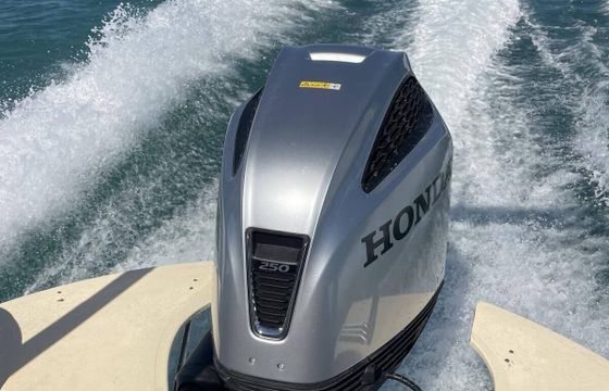 RIB EVRIPUS 7.45 250hp
