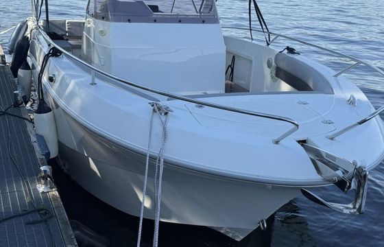 Motorboat ATLANTIC MARINE 750 OPEN 250hp