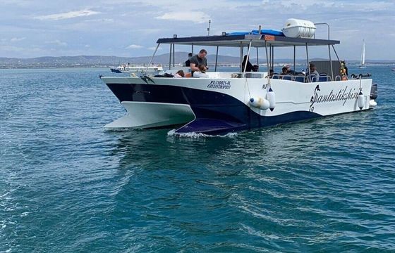 Catamaran Custom Custom 12.65m