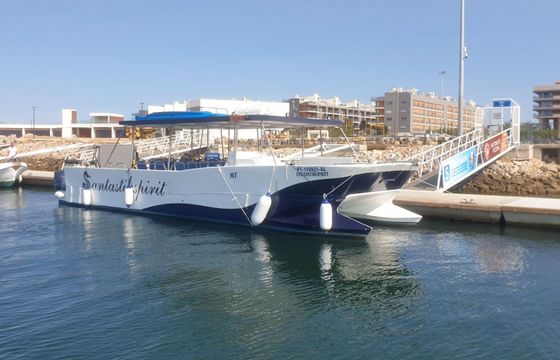 Catamaran Custom Custom 12.65m