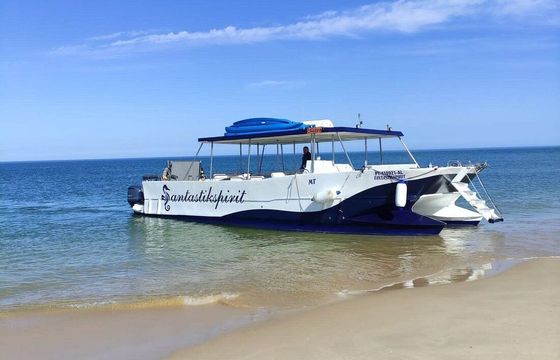 Catamaran Custom Custom 12.65m