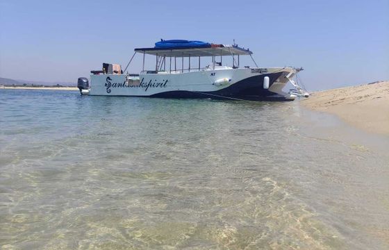Catamaran Custom Custom 12.65m