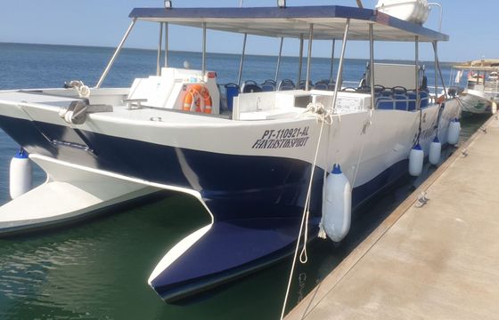 Catamaran Custom Custom 12.65m