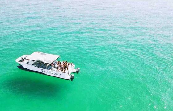 Catamaran Custom Custom 12.65m