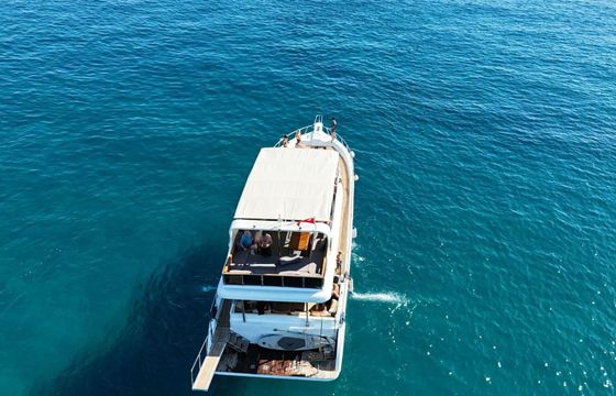 Motor yacht Costume Made 2015 800hp