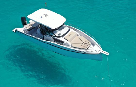 Motorboat Hanse Ryck 280 300hp