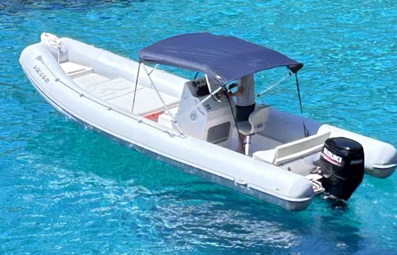 RIB APEX COSTA RICA 800 250hp