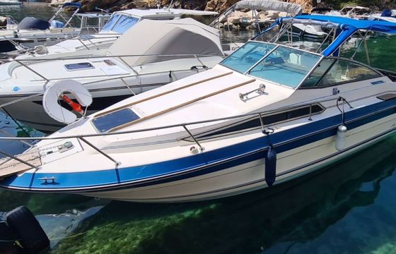 Motorboat Sea Ray Sundancer 250 320hp