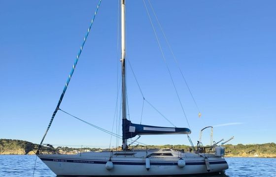 Sailboat North Wind 38 11.7m