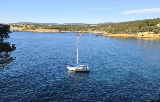 Sailboat North Wind 38 11.7m