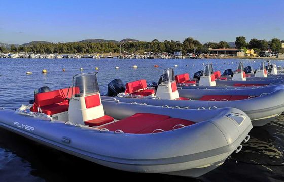 Boat without licence  Bwa 610 40cv **senza patente** 40hp