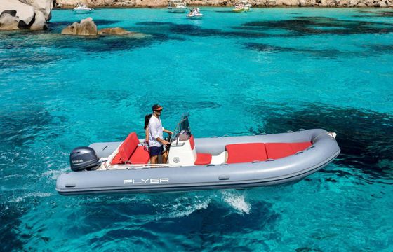Boat without licence  Bwa 610 40cv **senza patente** 40hp