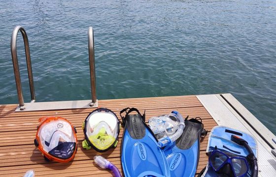 Boat without licence  Alesta Marine Marlin 460 15hp