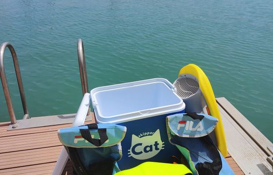 Boat without licence  Alesta Marine Marlin 460 15hp