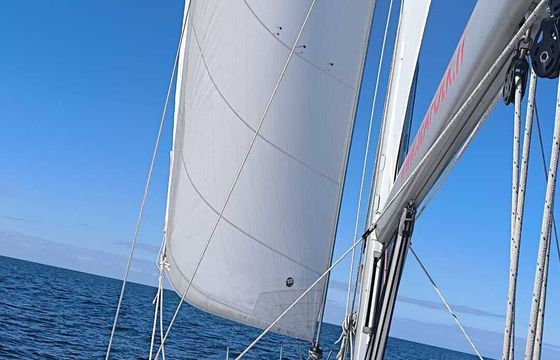 Sailboat Jeanneau Sun Odyssey 519 14.98m