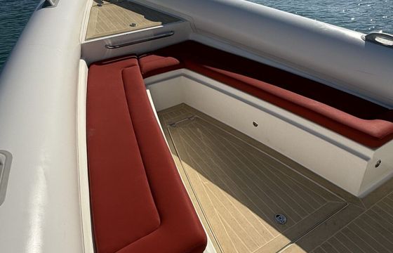 RIB SCORPION SILURIAN 600hp