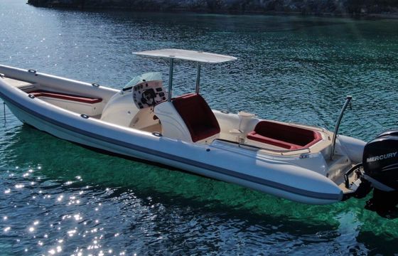 RIB SCORPION SILURIAN 600hp