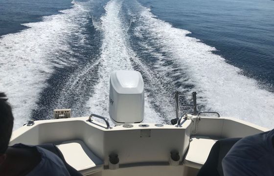 Motorboat QUICKSILVER Commander 635 150hp