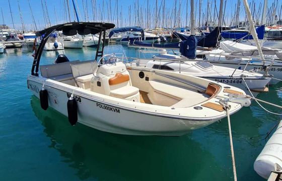 Motorboat Invictus yacht FX190 115hp