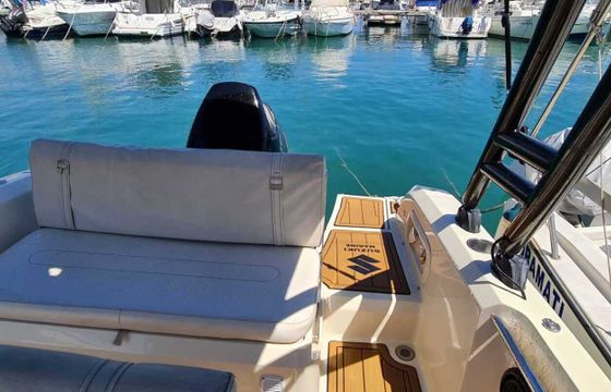 Motorboat Invictus yacht FX190 115hp