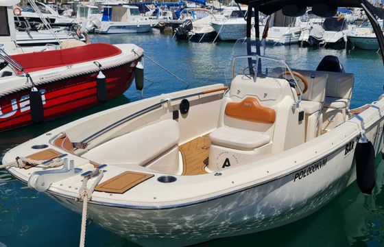 Motorboat Invictus yacht FX190 115hp
