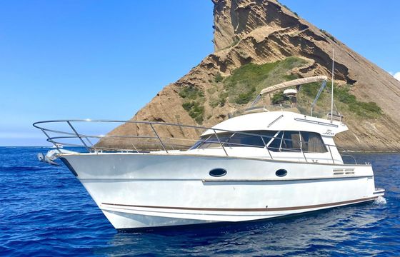Motorboat ACM ARCOA Excellence 38 460hp