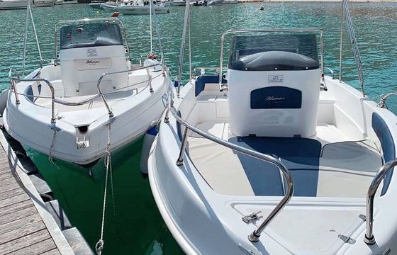 Boat without licence  Tancredi BLUMAX Pro 2022 40hp