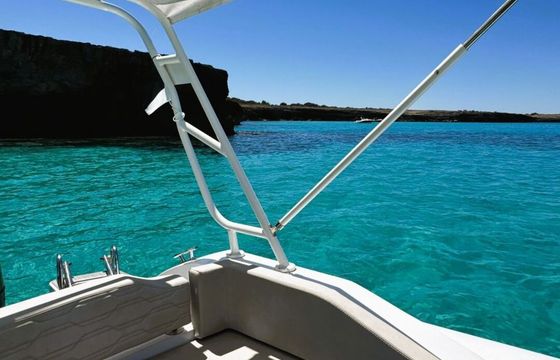 RIB Oro Marine S-78-2 Fornells 250hp