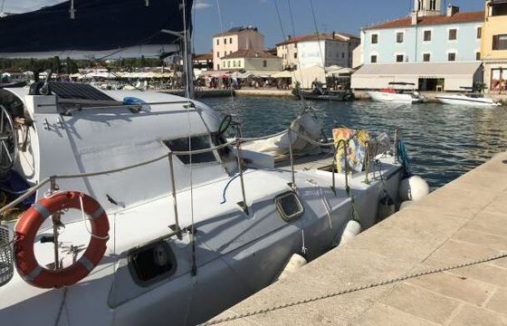 Catamaran wissman cat 36 11m