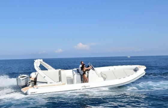 RIB ALTAMAREA WAVE 27, 250CV 250hp