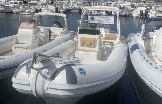 RIB Asso Guidelines 260hp