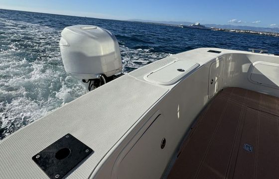 Motorboat Sas Vektor Bluefin 25 cc 225hp