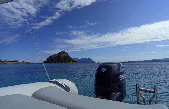 Boat without licence  Bwa Bwa 5.5 40hp