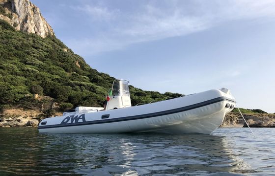 Boat without licence  Bwa Bwa 5.5 40hp
