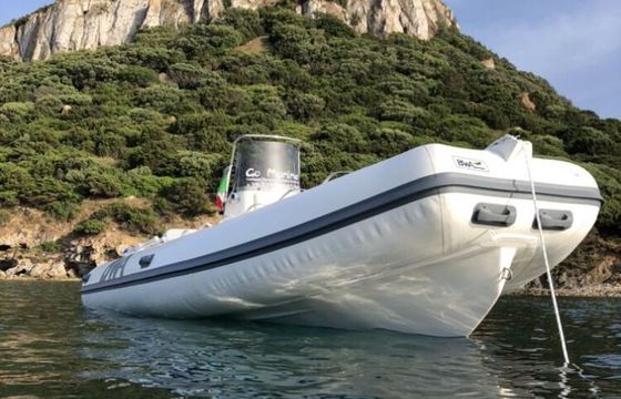 Boat without licence Bwa Bwa 5.5 40hp